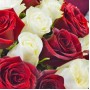 Букет 19 роз красных и белых